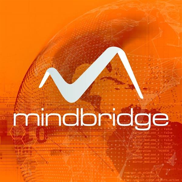 MindBridge