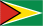guyana flag